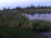 IMG_20120909_195033.jpg