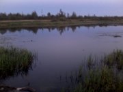IMG_20120909_195036.jpg