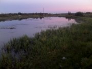 IMG_20120909_195039.jpg