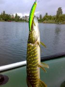 27062011731.jpg