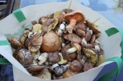 IMG_0064.jpg