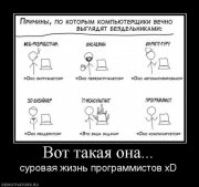 x_0485536d.jpg