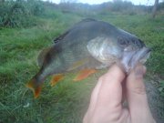 DSC06030.JPG