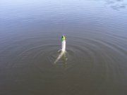 DSC04768.JPG