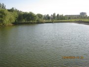 IMG_0395.JPG