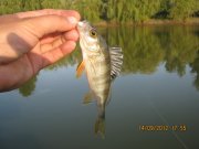 IMG_0397.JPG
