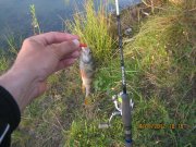 IMG_0398.JPG