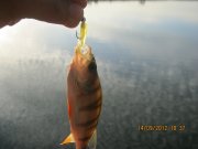 IMG_0399.JPG