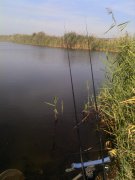 IMG_20120915_123037.jpg