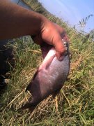 IMG_20120915_153246.jpg