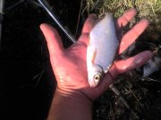 IMG_20120915_153230.jpg