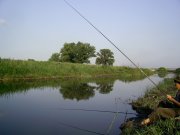 26.07-2.jpg