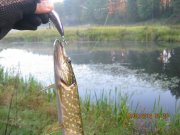 IMG_0403.JPG