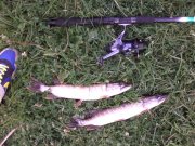 IMG_20120916_181235.jpg