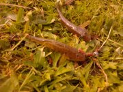 IMG_20120917_101927.jpg