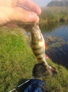 IMG_20120919_094939.jpg