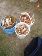 IMG_20120919_171444.jpg