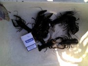 IMG_20120919_145454.jpg