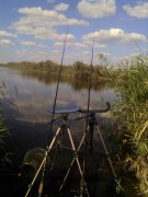 IMG_20120919_123621.jpg