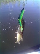 20092012389[1].jpg