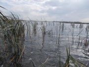 DSCN0280.JPG