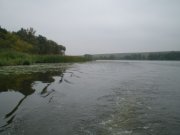 P9222394 [].JPG