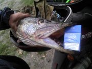 IMG_20120922_182759.jpg