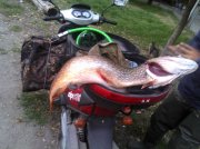 IMG_20120922_182817.jpg