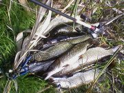 Photo0113_800.jpg