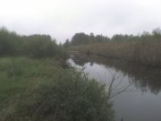 DSC00032.JPG