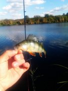 IMAG0666.jpg