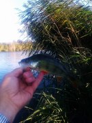IMAG0669.jpg