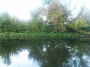 IMAG0671.jpg