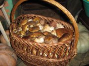IMG_1026.JPG