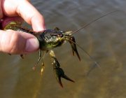 IMG_1079.jpg