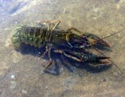 IMG_1082.jpg