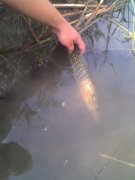IMG_20120925_132651.jpg