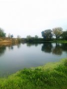 IMAG0677.jpg