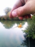 IMAG0681.jpg
