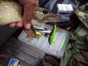 DSC04798.JPG