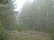 IMG_1030.JPG