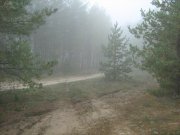 IMG_1032.JPG