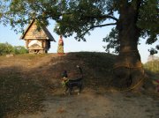IMG_1054.jpg