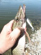 IMG_3206.JPG