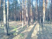 Фото0622.jpg