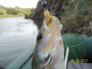 100_2375_thumb.jpg