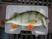 IMG_0717.JPG