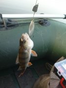 DSC05517.JPG