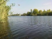 DSC05518.JPG