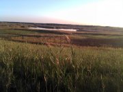 IMG_20121001_174027.jpg